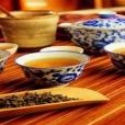 金玉緣(植物) 金玉緣(植物)