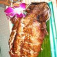 糟油青魚划水 糟油青魚划水