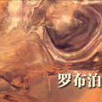 鹽澤