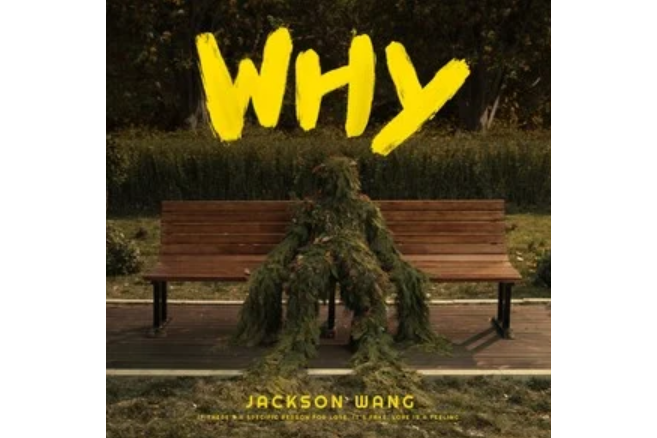 Why Why Why(王嘉爾演唱的歌曲) Why Why Why(王嘉爾演唱的歌曲)