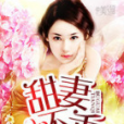 甜妻不乖(17K小說閱讀網的作品) 甜妻不乖(17K小說閱讀網的作品)