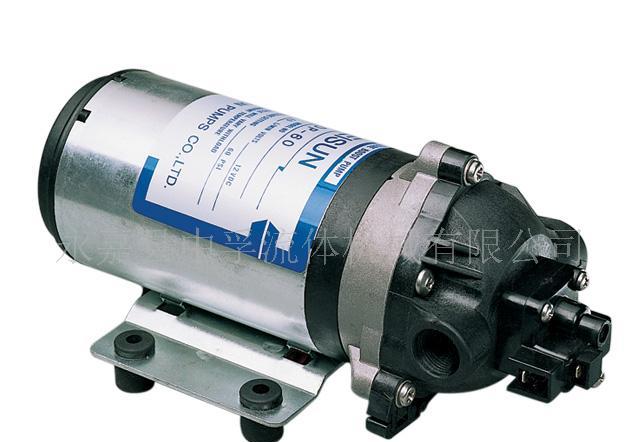 DP-60型24V電動隔膜泵