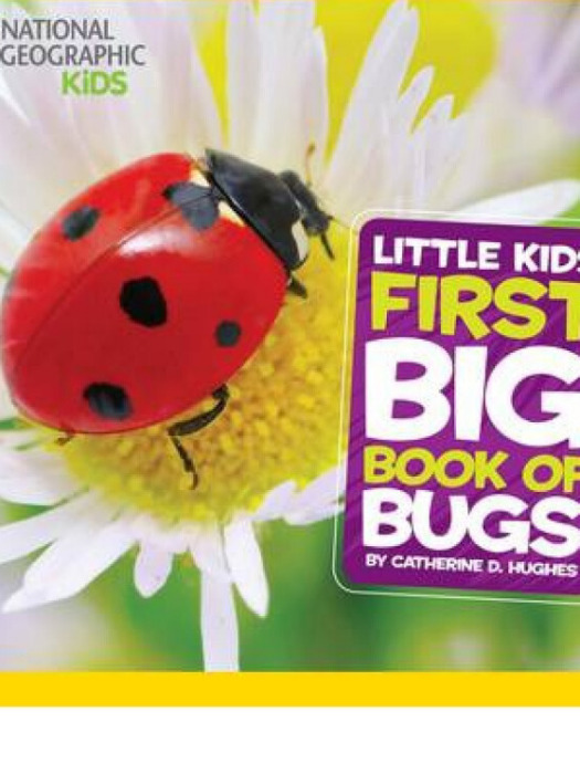 National Geographic Little Kids First Big Book of Bugs National Geographic Little Kids First Big Book of Bugs