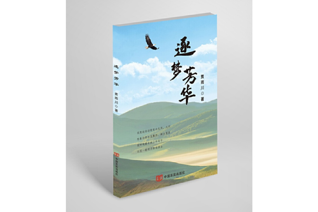 逐夢芳華(2024年中國言實出版社出版的圖書) 逐夢芳華(2024年中國言實出版社出版的圖書)