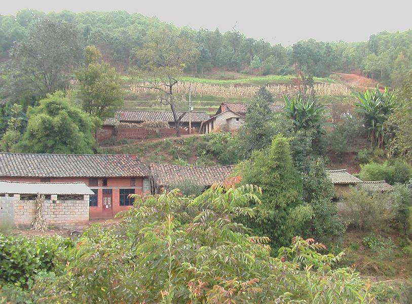 小菁大田村