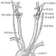 化學感受器