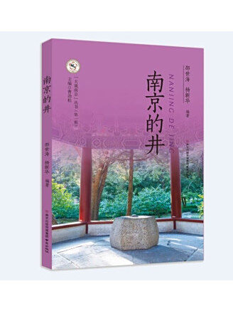 南京的井 南京的井