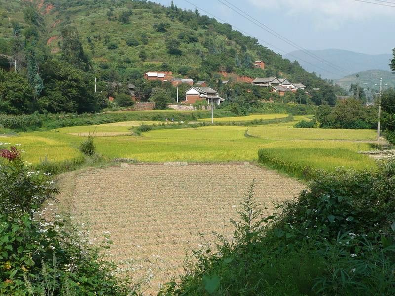 沿橋村