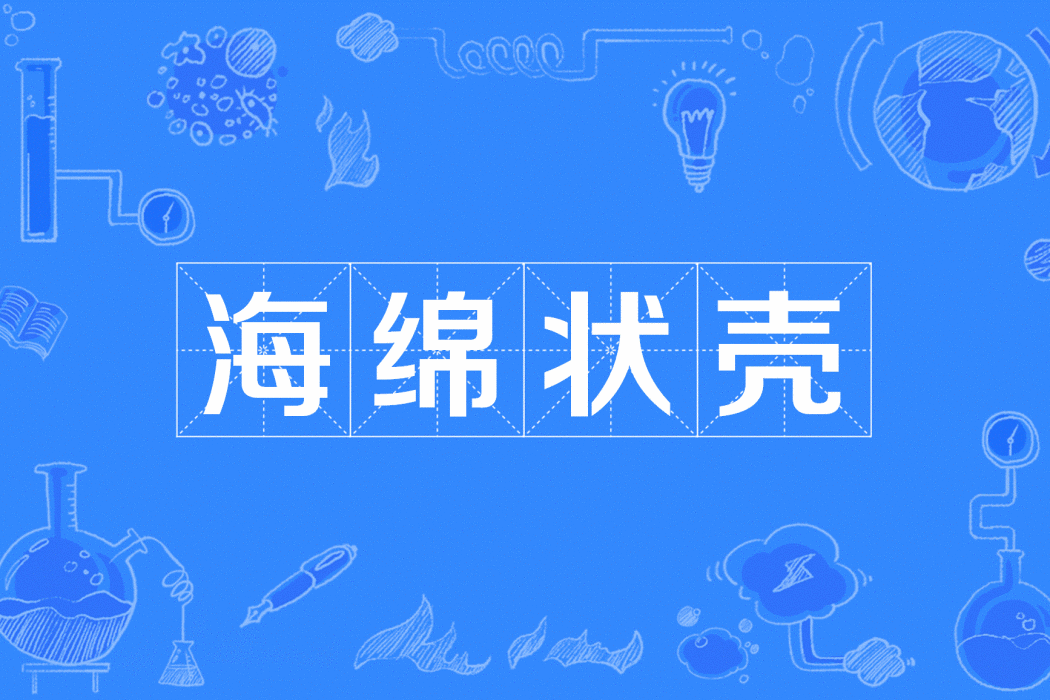 海綿狀殼 海綿狀殼