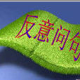 反意問句