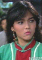 中華英雄(1990年何家勁主演電視劇)