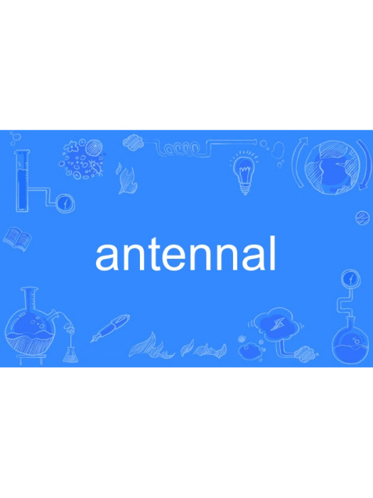 antennal antennal
