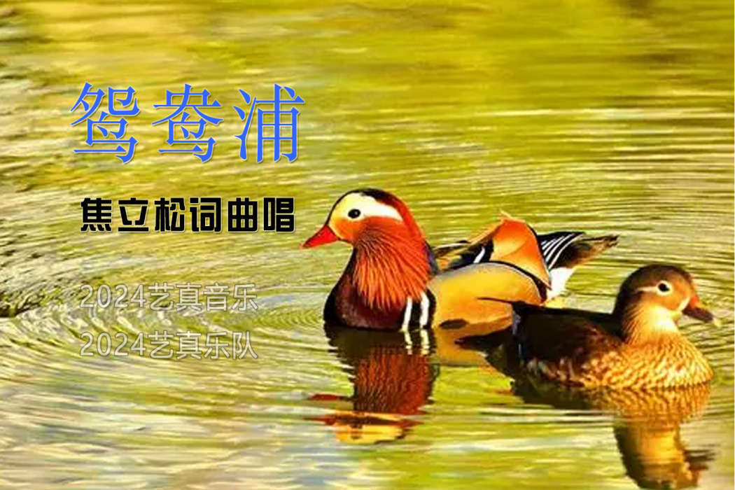 鴛鴦浦(焦立松演唱歌曲) 鴛鴦浦(焦立松演唱歌曲)