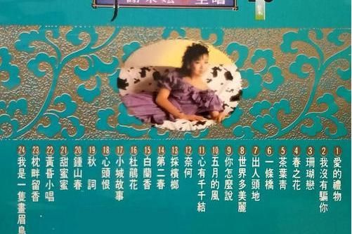 枕畔留香(1980年謝采妘演唱的歌曲) 枕畔留香(1980年謝采妘演唱的歌曲)
