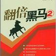翻倍黑馬2 翻倍黑馬2