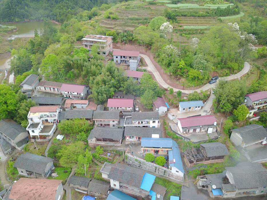 塘頂坡 塘頂坡
