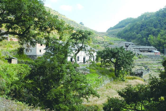 東風嶺古道 東風嶺古道