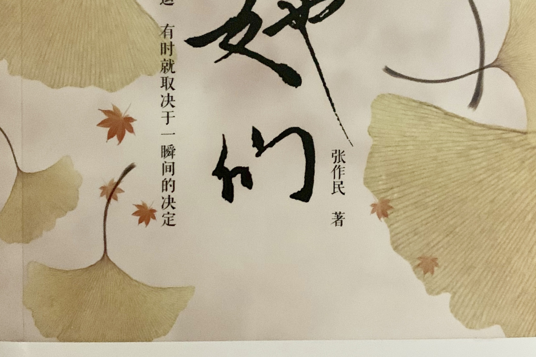 她們(張作民所著小說) 她們(張作民所著小說)