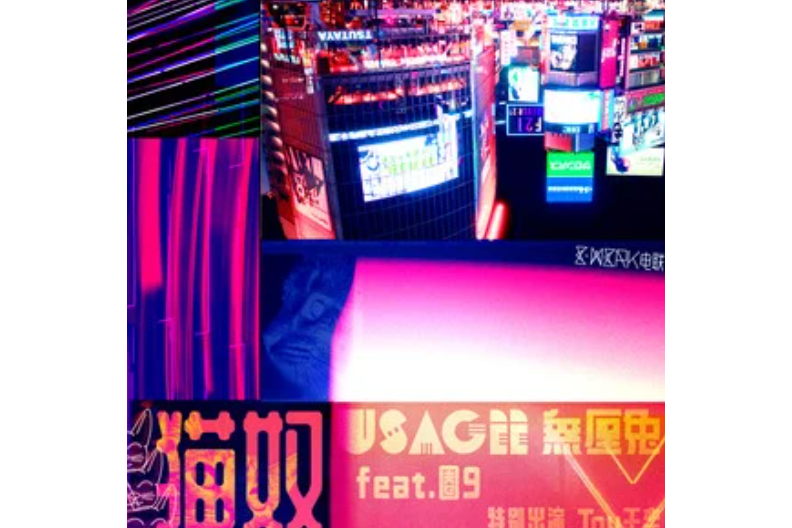 月亮上有兔子 月亮上有兔子