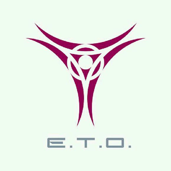 地球三體組織(ETO（地球三體組織）)