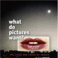 What Do Pictures Want?(2006年University of Chicago Press出版的圖書) What Do Pictures Want?(2006年University of Chicago Press出版的圖書)