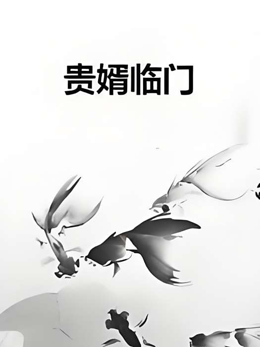 貴婿臨門(紅姐創作的網路小說)