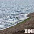 馬普托海灘 馬普托海灘