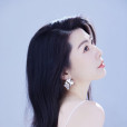 十三姨 十三姨