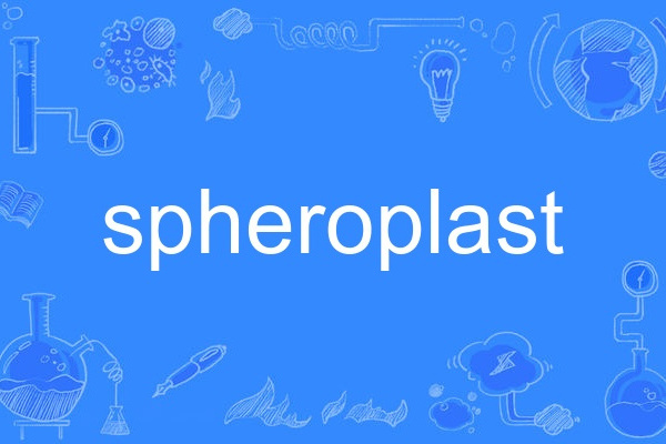 spheroplast spheroplast