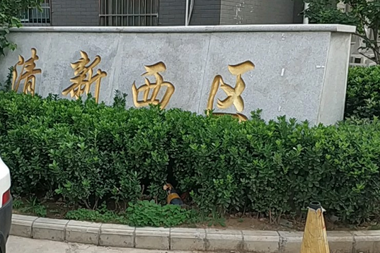 清新西區 清新西區