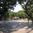 天水圍公園 天水圍公園