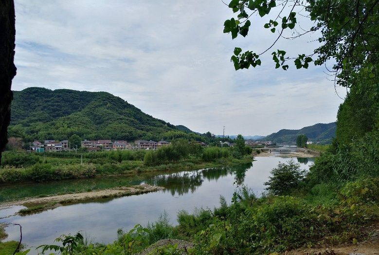 百歲坊村 百歲坊村