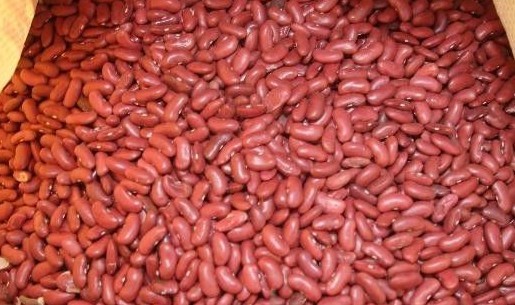 岢嵐紅芸豆
