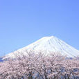 富士山(富士山的縮寫)
