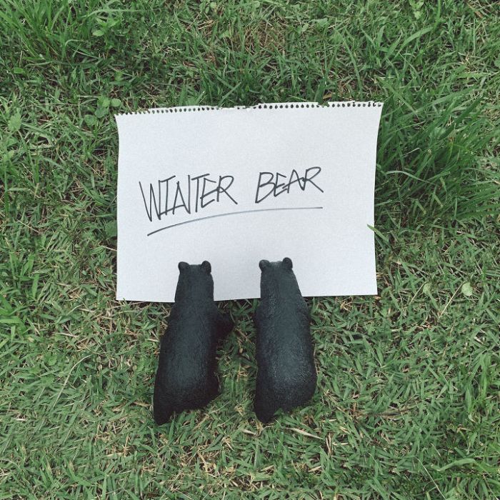 Winter Bear Winter Bear