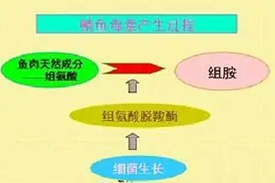 鯖魚毒素 鯖魚毒素