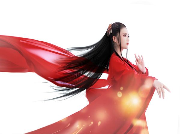 蘆花未盡 蘆花未盡