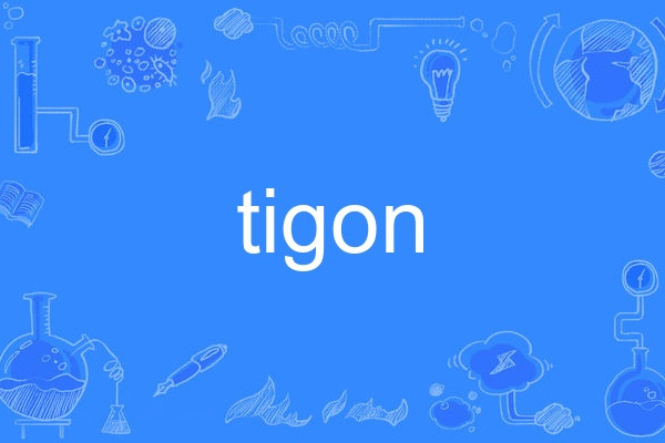 tigon tigon