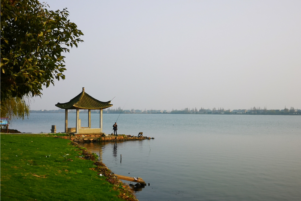 汾湖公園 汾湖公園