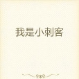 我是小刺客 我是小刺客