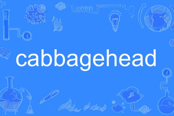 cabbagehead cabbagehead