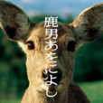 鹿男與美麗的奈良(鹿男與奈良) 鹿男與美麗的奈良(鹿男與奈良)