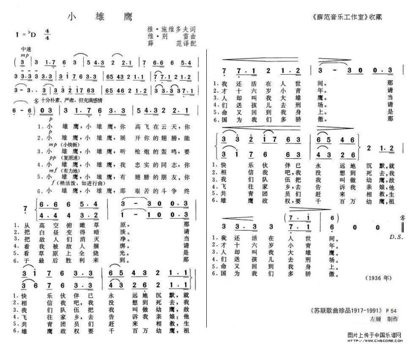 小雄鷹 小雄鷹