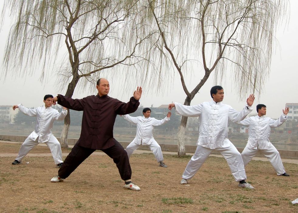 孫新傑(滕州市武術(內家拳)研究學會會長) 孫新傑(滕州市武術(內家拳)研究學會會長)