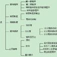 審級制度
