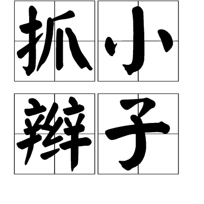 抓小辮子 抓小辮子