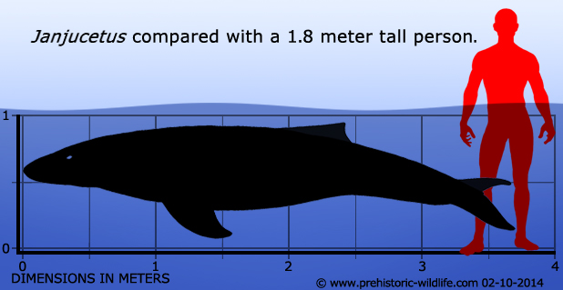 海底霸王鯨