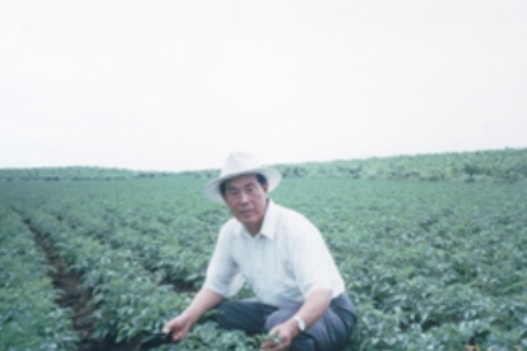 門福義 門福義