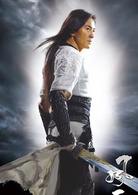 風雲2(2009年彭氏兄弟執導電影)