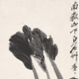 白菜蘿蔔 白菜蘿蔔
